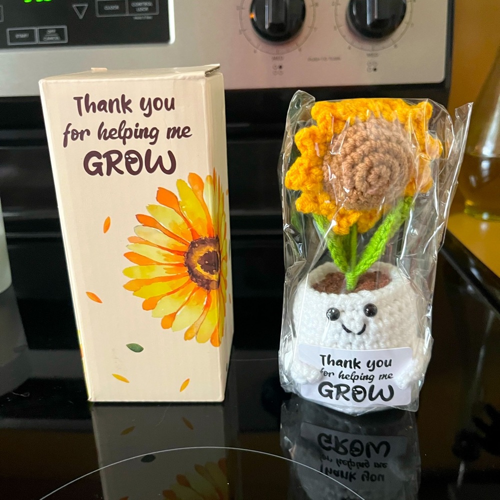 (2) Crochet Sunflower Pot - Teacher Appreciation Gift for Women NWOT BRAND NEW